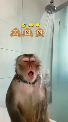 #comedyvideo🤣🤣🤣🤣🤣 #comedyvideo #🤣😅 #vijaytvserial #DeviMatavi 