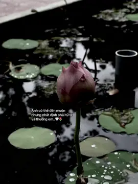 anh có thể đến muộn nhưng nhất định phải tử tế và thương em 