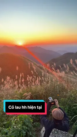 Cảnh đẹp nhạc chill này chỉ có thể là đi Bình liêu ngắm cỏ lau hh mới có #Bìnhliêu #Mốc1297 #Cỏlau #LộcHDVbảnđịa #Tourguider 