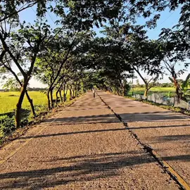 যে-ই মা বৃষ্টির পানিতে ভিজতে দেয় না🥹