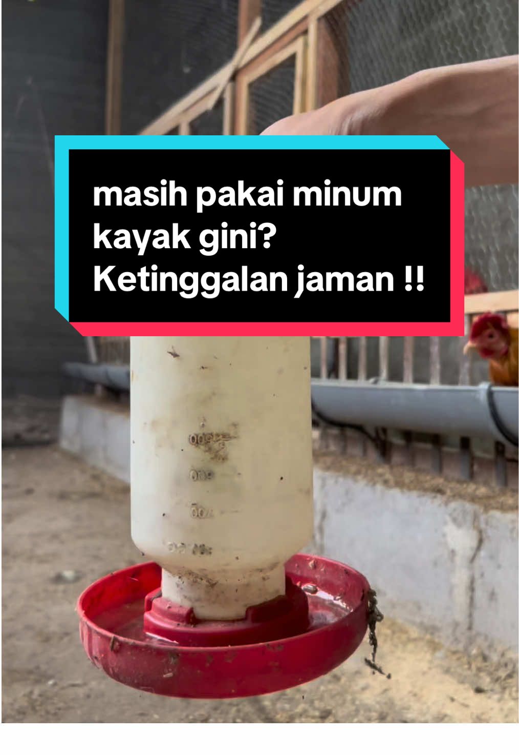 tempat minum otomatis untuk ayam dan unggas, beli 10pcs lebih murah. Tempat minum ayam dan unggas anti tumpah, otomatis, dan mudah digunakan #tempatminumotomatis #tempatminumayamotomatis #ternakayam 