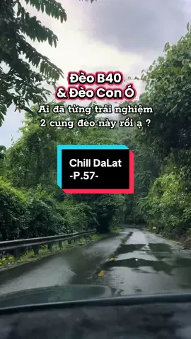 Có Con đường Anh chưa đi lại lần 3 ??? #tiemanhchuchanh #chilldalat #dalat #thochupanhdalat #viral 