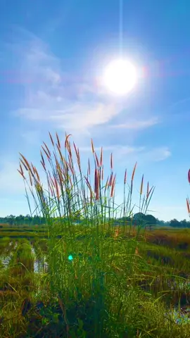 #ท้องฟ้า⛅🌈 #วิวบ้านนอก🍃 #อุบลราชธานี #กําลังใ❤ 