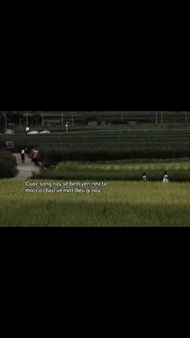 “Cuộc sống này sẽ bình yên,nếu ta thôi cố chấp về một điều gì nữa.”#anhquoc🙆🏻‍♂️🎉 #fyp #buon #xhhhhhhhhhhhhhhhhhhhhhhh 