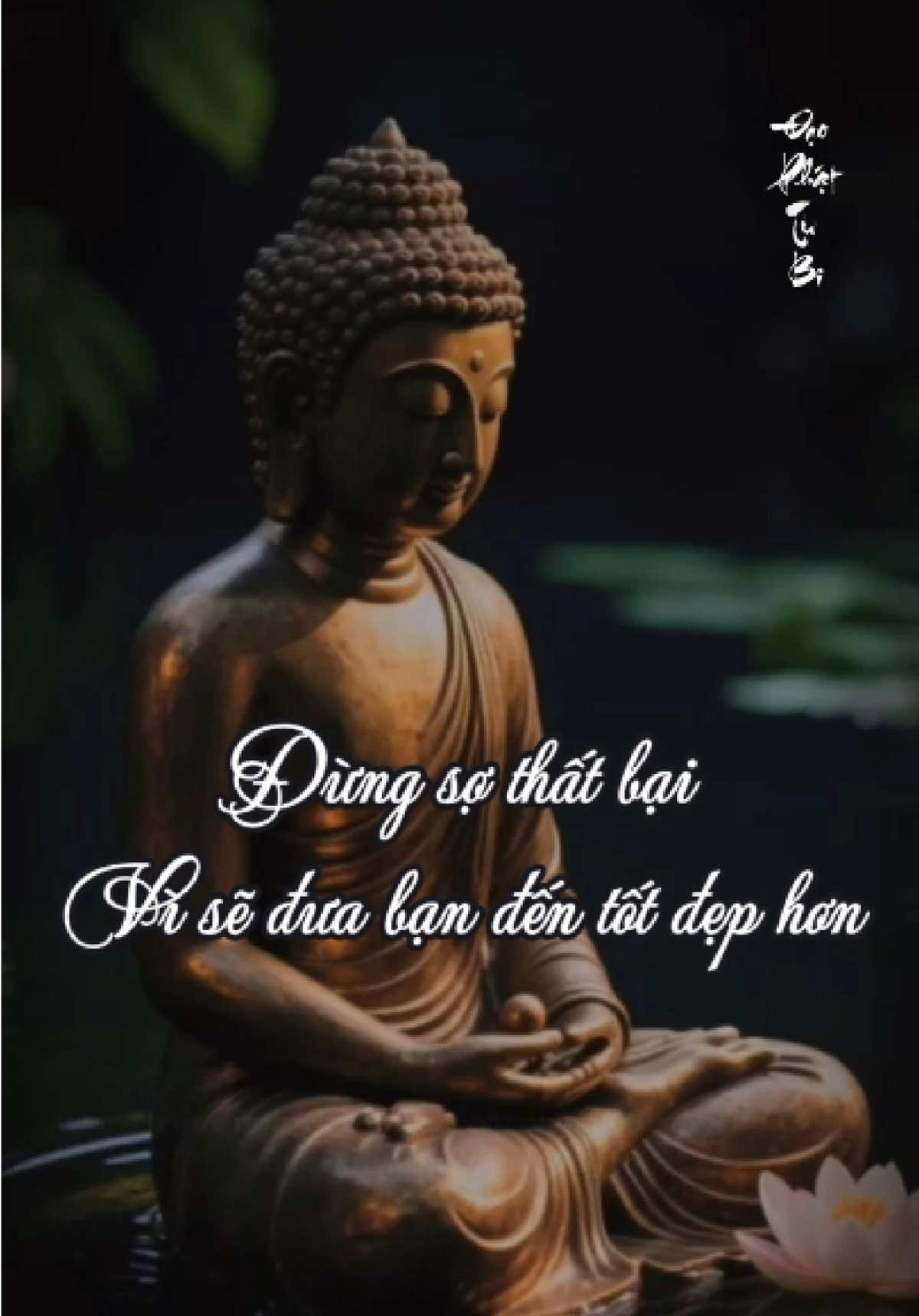 Nếu cuộc sống ném bạn vào vực thẳm, đó là lúc bạn tìm ra được con đường thoát thân. #phatphap #niemphat #phatphapnhiemmau #adidaphat #binhan