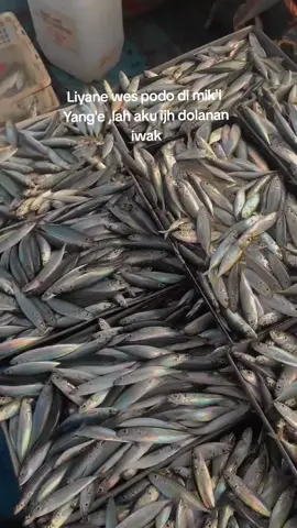 #fyppppppppppppppppppppppp #kapalpursesainejuwana 