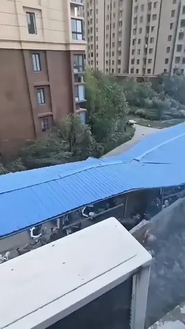 Jandel every event in gag #fyppppppppppppppppppppppp #foryoupage #foryoupageofficiall 