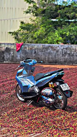 Dăm 3 con 4vall thichd đổi lúc nào chả đc , chưa thích thôi 😂😂#phamvanthuong2k3 