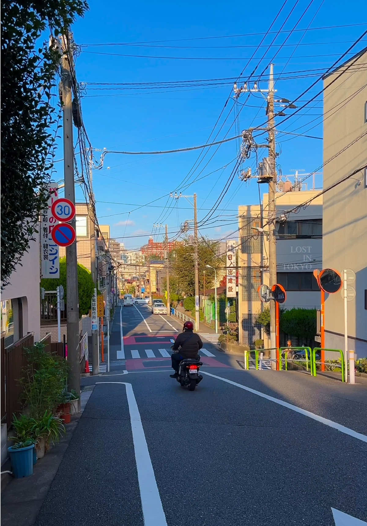 sunny day in Tokyo #japan #tokyo #vibes #animevibes #japanvibes 