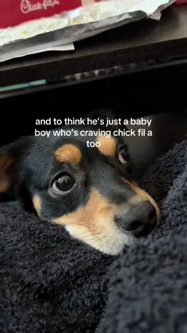 his eyes kill me. which is why he got nuggets. 