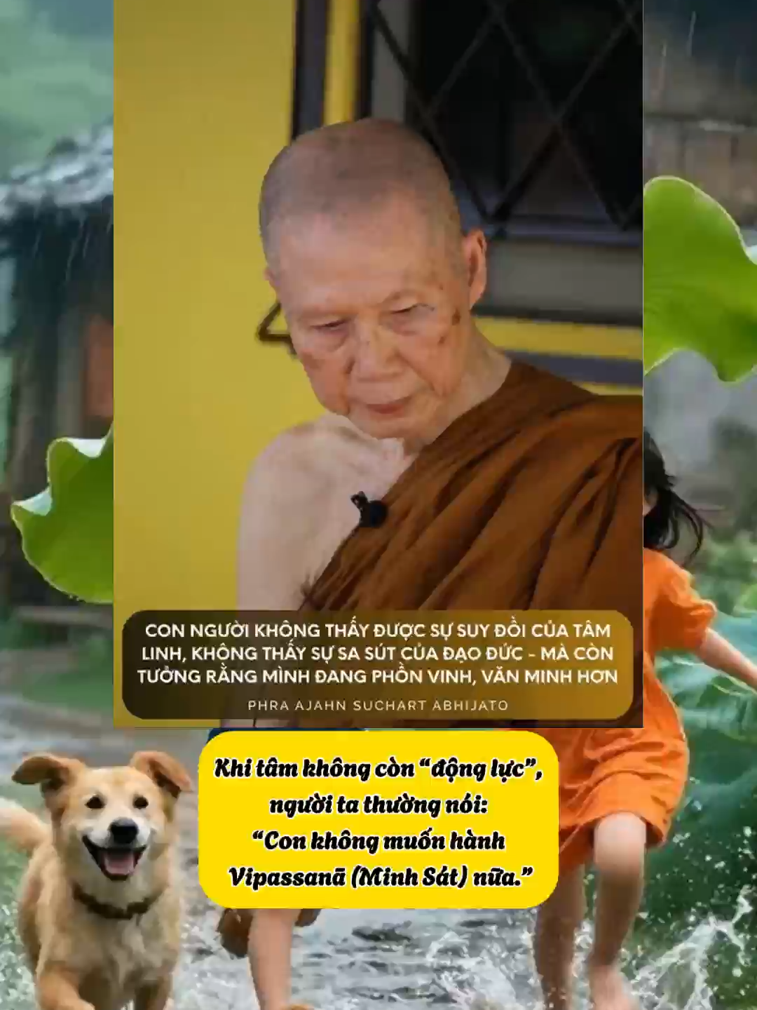 CON NGƯỜI KHÔNG THÂY ĐƯỢC SỰ SUY ĐÔI CỦA TÂM LINH, KHÔNG THẤY SỰ SA SÚT CỦA ĐẠO ĐỨC - MÀ CÒN TƯỞNG RẰNG MÌNH ĐANG PHỒN VINH, VĂN MINH HƠN. - PHRA AJAHN SUCHART ABHIJATO - #nuoiduongbodetam #chiasephapphat