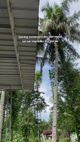 #soundsystem #npllighting #herryaudio #promoseruweekend 