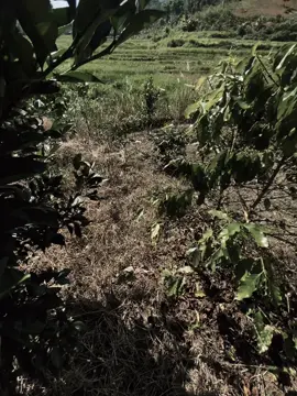 “有缘相遇却不能相守” “chúng ta đủ duyên để gặp gỡ nhưng chẳng thể ở cạnh nhau”#xuhuongtiktok #buon249 #viral 