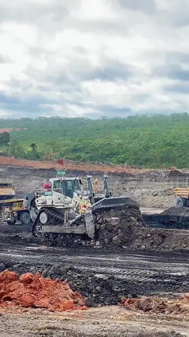Gagahnya si putih ini libherr 776 🤩#tambangbatubarakalimantan #kulitambang #kulibatubara #darmahenwa #dozer 