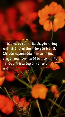 #phatphapnhiemmau #anyen #taman #songtichcuc 