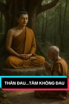 Thân bệnh mà tâm không bệnh…là bớt một nửa cơn đau#phatphap #loiphatday #tinhthuc #ChanhPhap #loiphatday 