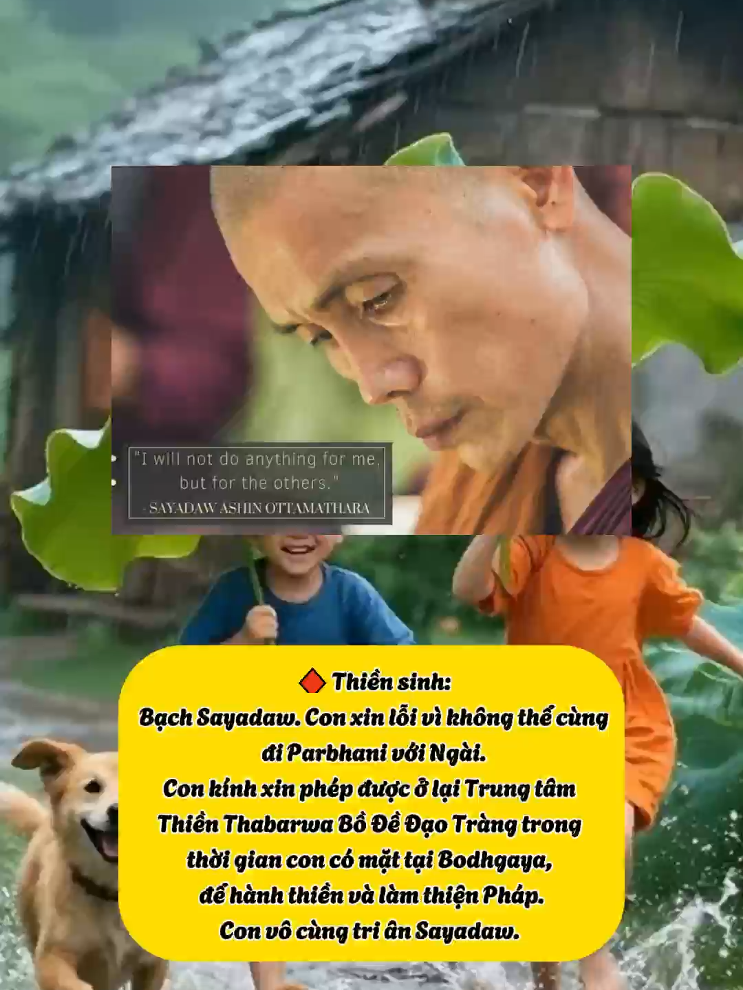 I will not do anything for me, but for the others. - SAYADAW ASHIN OTTAMATHARA - #nuoiduongbodetam #chiasephapphat #thiensuottamathara