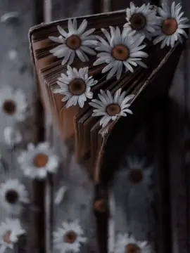 Kisi say Omed nahi lagani chahiye log barbad kar detay Hy💯😔❤️‍🩹🥀 #foruyou #foruyou #fyp #unfreezemyacount 