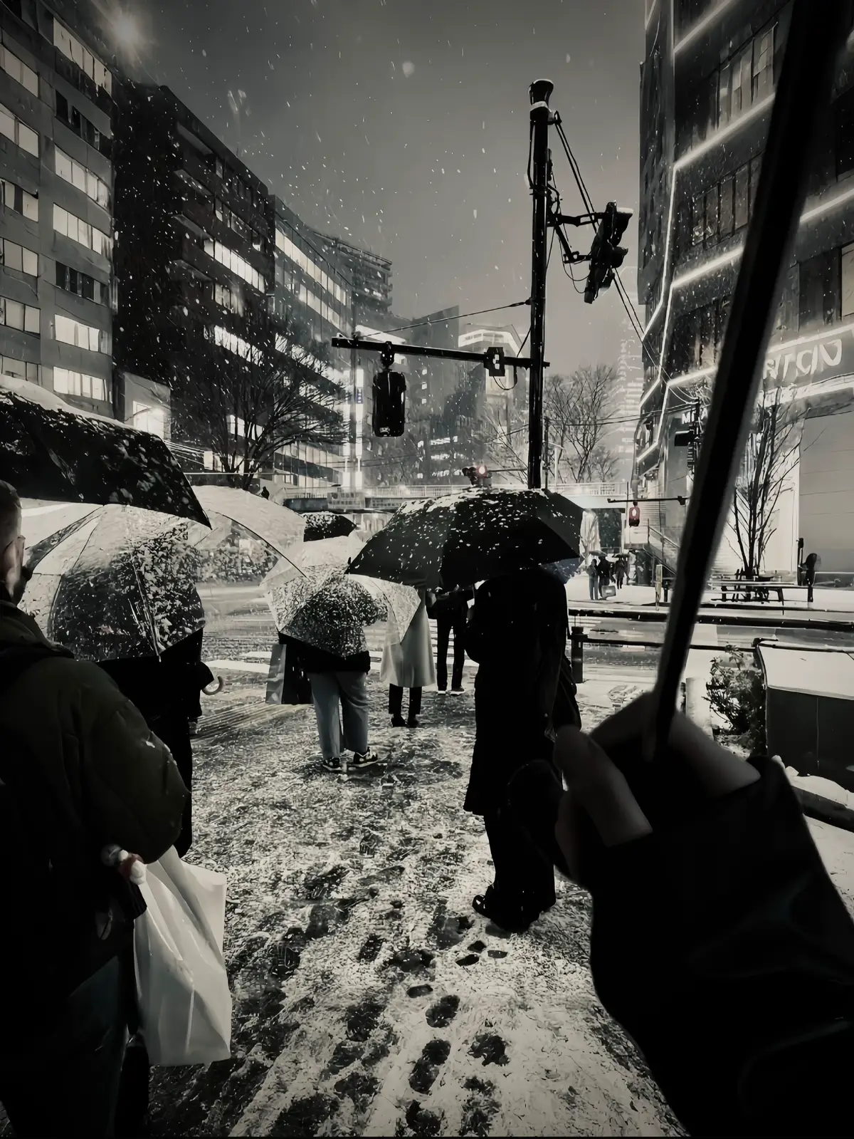 “当我们懂得知足，懂得满足于自己所拥有的，我们自然就会遇到幸福……”