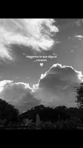 Hagamos lo que diga el corazón// Grupo Niche #fyp #parati #xzyabc #salsacolombiana #videoviral 