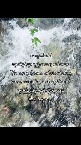 လွတ်လပ်မူနဲ့ အေးချမ်းခြင်းပဲ😞#flypシ #flypシーforyou😇💓tiktok 