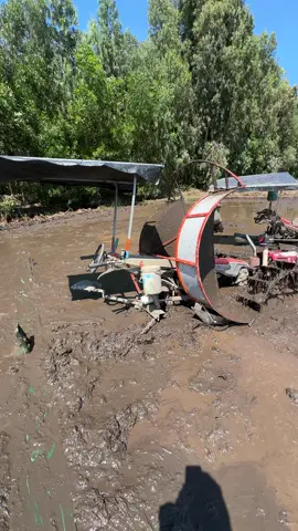 Chủ ruộng nói đất chú ko lung 1 lỗ nua