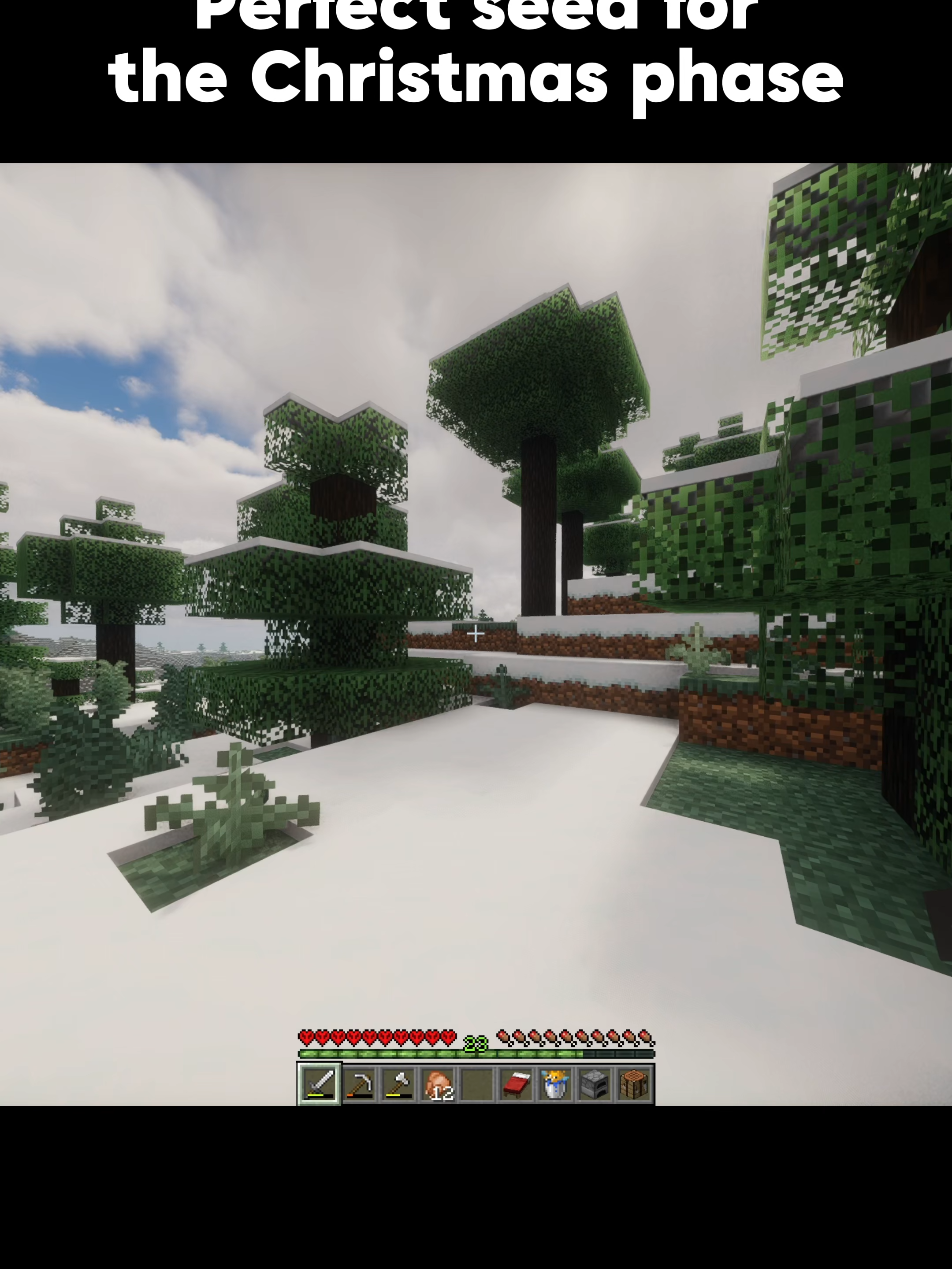 It looks a little too perfect... #minecraft