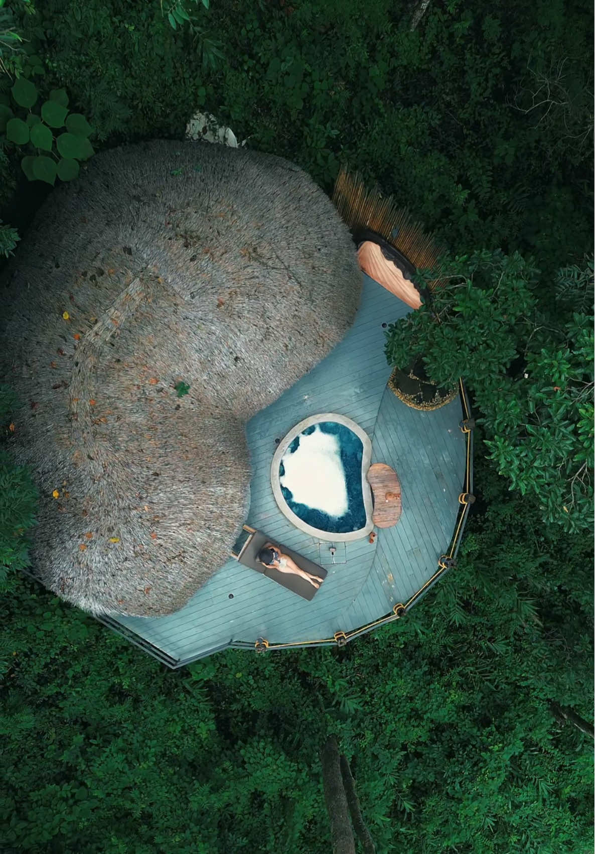 Có 1 kiểu người: tối thì khó ngủ - sáng thì khó thức, hướng nội nhưng nhiều chuyện. Ở nhà thì khó rủ đi chơi - mà đã đi thì ko mún về 🥲 #entravelwith #chiangmai #chiangmaithailand #lannawild 