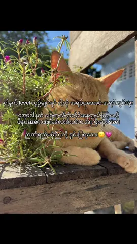 #ချစ်စရာကောင်းတာလေးပါ ထည့်ပေါင်းနော် 🤩🫣#ပြီးမှ ဆက်ပြော#ဒါလေးတော့fypပေါ်တင်ပေးပါ😧💖 #fyppppppppppppppppppppppp #fypシ゚ 