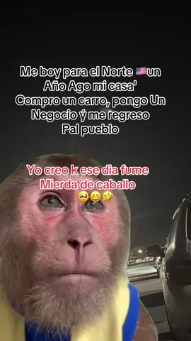 Yo creo k ese dia fume Mierda de caballo#😂#🤷‍♂️🙅‍♀️🙅‍♀️ #videoviral 