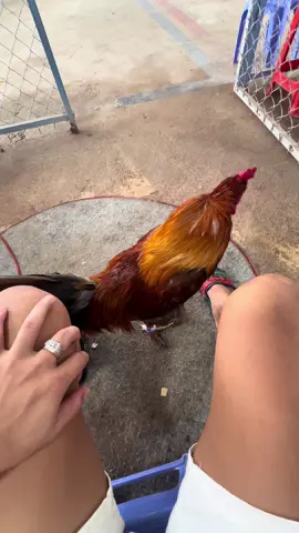 Vào đây là không có bạn bè dì hết nha.!😂😂#xuhuong🥰❤️tym 