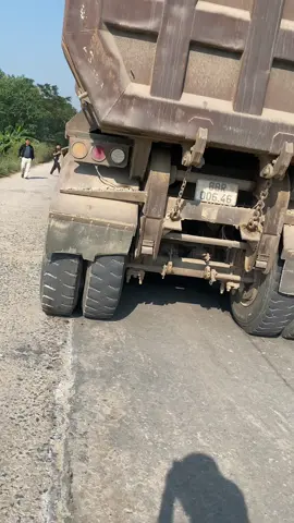 Tìm mãi mới thấy lốp ở trong bụi ngô