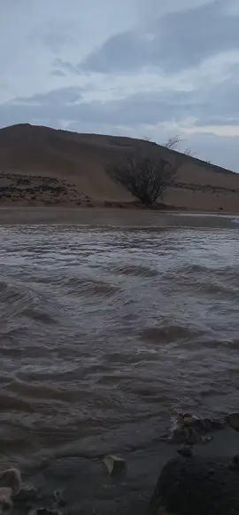#مطر #الديرة #اكسبلورexplore #السعودية🇸🇦  #وادي_قديد 