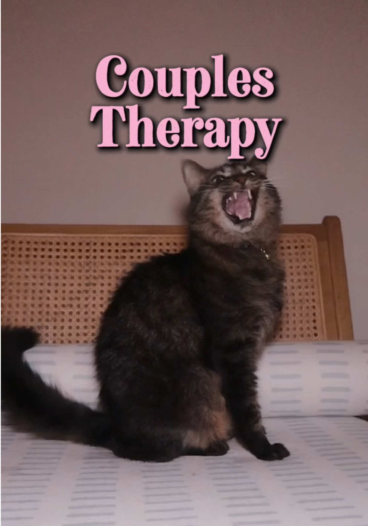 The truth of why we are here…