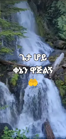 ##fypシ゚viral #maranatha🙌 #habeshatiktok🇪🇷🇪🇹 #ሀበሻትክቶክ #maranatha🙌 