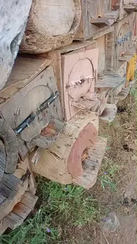 #ماشاءالله #نحل #عسل_اصلي #p #standwithkashmir 