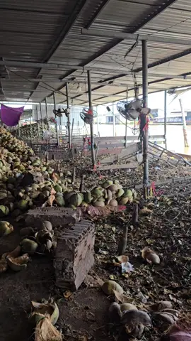 buổi trưa bãi em 😀#huynhphuong2024#xuhuongtiktok 