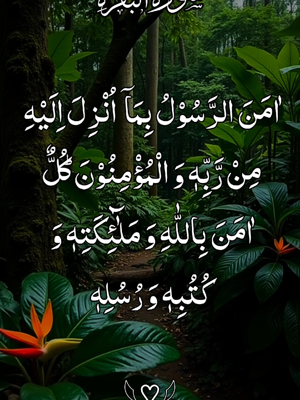 #🎧🌷🥀 ایت الکرسی 🥀🌷🎧  #🎧🎧🎧🎧🎧🎧🎤🎵🎶 #قران_كريم_ارح_سمعك_وقلبك #ارح_قلبك_المتعب_قليلاً🤍💫 #راحة_البال_وهدوء_النفس🥀🖤 #راحة_نفسية_للقلب🤲📿💕 #قران_كريم_ارح_سمعك_وقلبك♡ #foruyou #growmyaccount #growmyaccount✅♥️♥️♥️ #foryoupage❤️❤️ #🌷🌹🥀 #foru #viral #viralvideos @TikTok @tiktok creators @TiktokPakistanOfficial @TikTok for Business @TikTok Tips #راحة_نفسية@TikTok @TikTok UK @TikTok Trends @TikTok LIVE @TikTok Bangladesh 