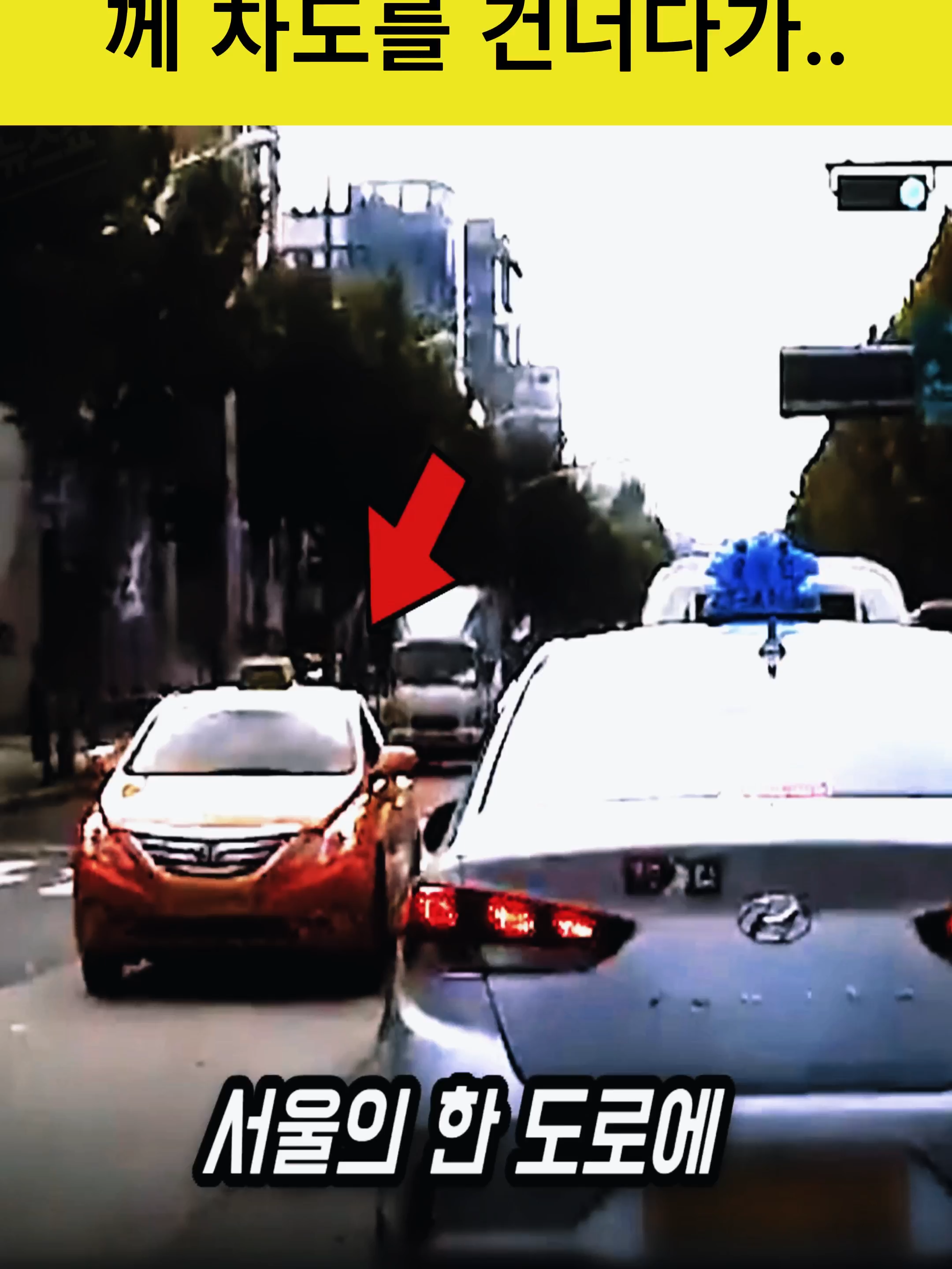 '애들하고 무단횡단을' 유모차를 끌고 아이와 함께 차도를 건너다가..