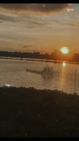 Tôi bôn ba để kiếm tiền 😔😔#tamttang_camxuc #nhacsuy576 #teampro #radio9x 