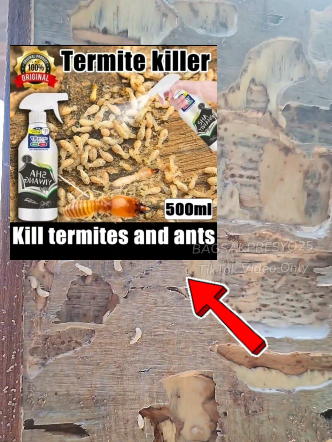 Grabe sa dami ba naman ng nasubukan kong Pamuksa ng anay ito lang pala ang makakapatay !! #termitekiller #anay #killerspray #fyp #termite
