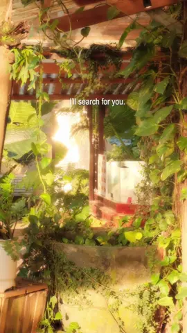 “Whenever you are in the world, I’ll search for you.”  #camxuc #yourname #fujifilm #nắng 