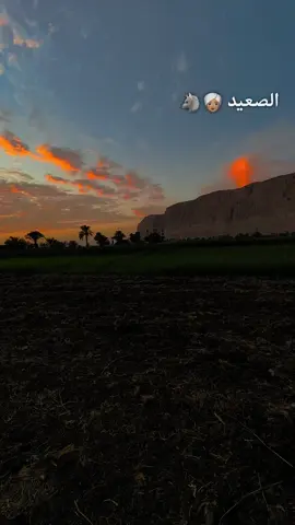 #الصعيد_يا_دولة 🐺🐺 #سوهاج_قنا_اسيوط_اسوان_المنيا_الاقصر 👳🏽👳🏽 #الجعافره515😎👑 