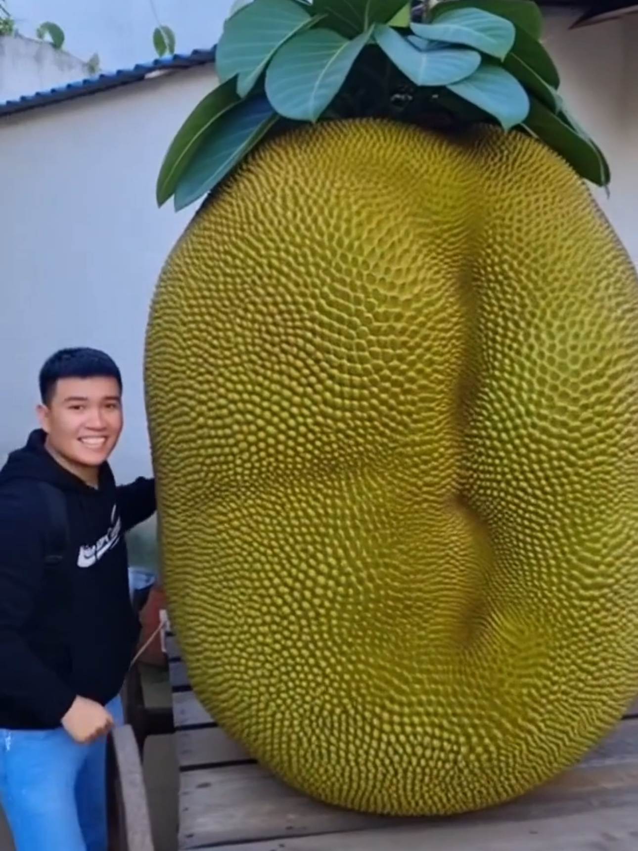 Trả lời @user956933615430mít của các bạn nhé #mukbangsieutokhonglo #hunghonho #ăncungtiktok #mukbangAI  #xhhhhhhhhhhhhhhhhhhhhhhh 