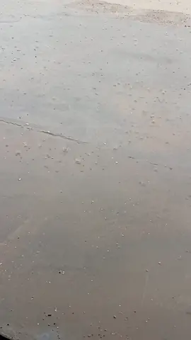 #اكسبلور #تفاعلوا #متابعة #شعراء_وذواقين_الشعر_الشعي🎸💔🥀😔 #الشعب،الصيني،ماله،حل،😂😂 