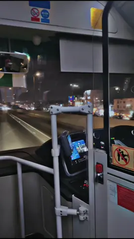 جب وہ مجھے پسند آیا تب وہ میرے سامنے اپنی پہلی محبت کے لیے رورہا تھا 🥲🥀#sadpoetry #lostillusion #greenbus #view #roohposh 