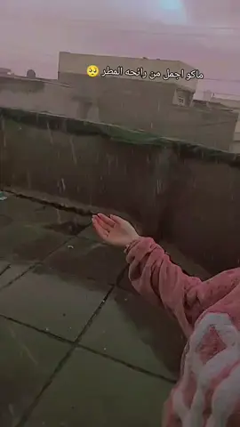 #ريحة_مطر ⛈️#امطار_غزيره_في_بغداد الان⛈️⛈️#اليوم_كلها_تصور_المطر🤣 #⛈️⛈️ #مالي_خلق_احط_هاشتاقات 