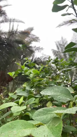 عادت لنا اجواء الشتاء الجميلة🌧️🌧️🫂
