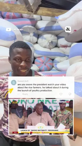 President John Dramani Mahama has directed the Ghana Buffer Stock Company to purchase surplus rice from farmers nationwide to prevent waste and safeguard the country’s food reserves.