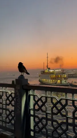 #ግጥም #ገጣሚ_ኤልያስ_ሽታሁን #ግጥምን_በጃዝ #ግጥም_ሲጥም #ግጥምለምትወዱ 